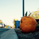Illustration for article titled 8 Photos Of Your Halloween Antics